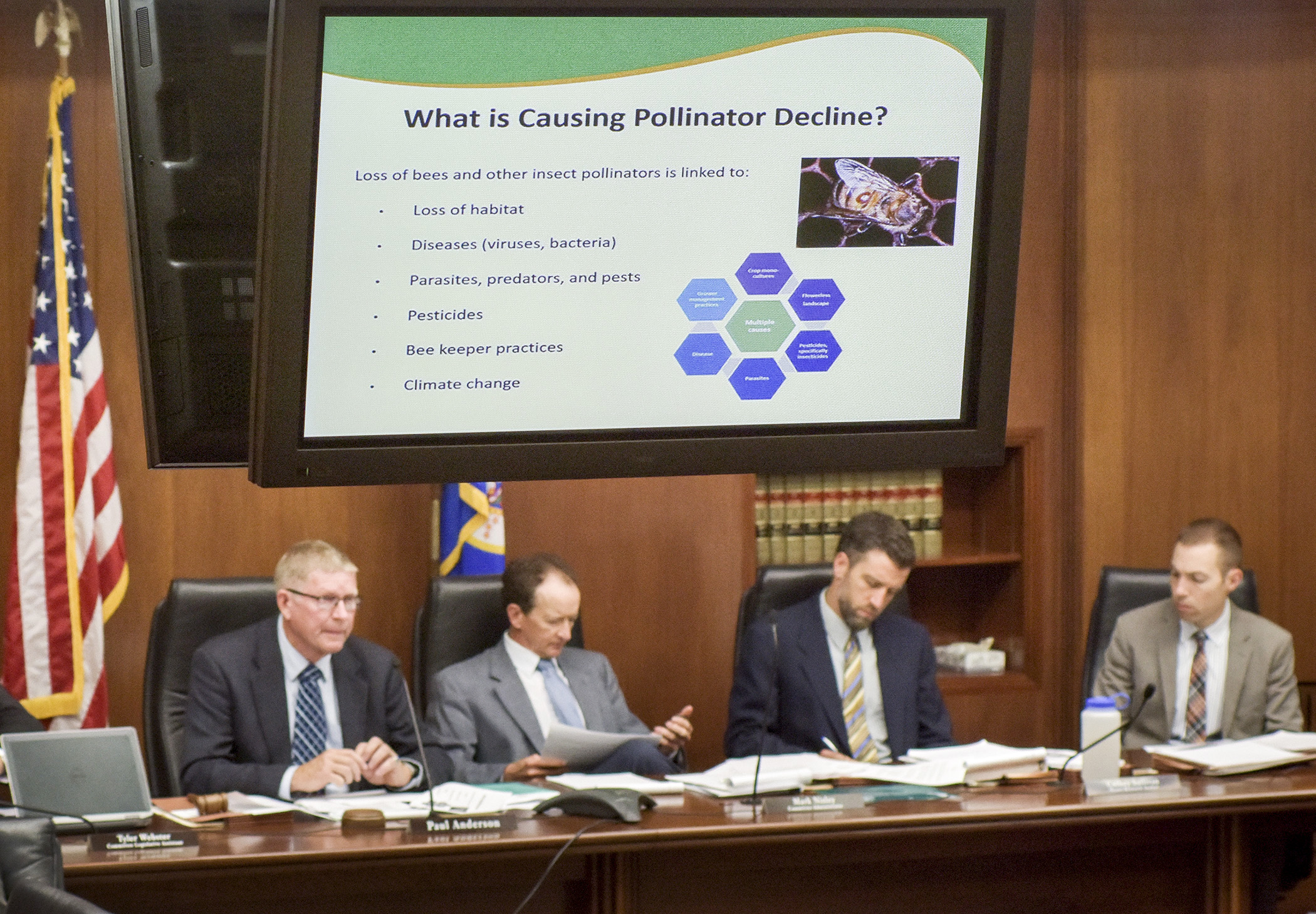 Members of the House Agriculture Policy Committee listen to, and view, a PowerPoint presentation by Department of Agriculture research scientist Raj Mann during an informational hearing on Gov. Mark Dayton's executive order to restore pollinator health in Minnesota. Photo by Andrew VonBank